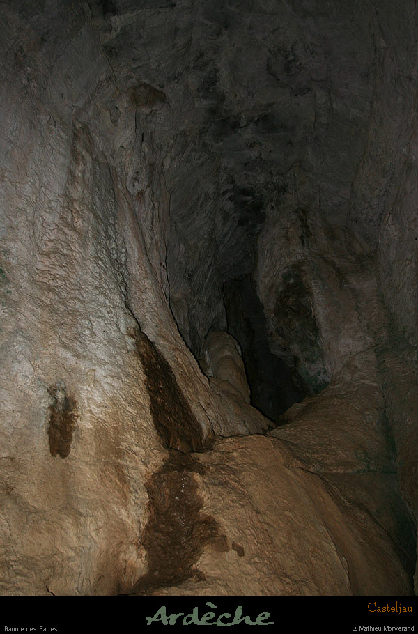 20100101_gorgescasteljau_baumedesbarres4
