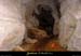 20010102_baumedesbarres_grotte_06
