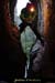 20010102_baumedesbarres_grotte_11