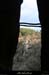 20100101_gorgescasteljau_baumedesbarres2