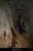 20100101_gorgescasteljau_baumedesbarres4