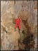 2avens20061210_11