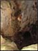 2avens20061210_15