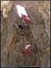 2avens20061210_19