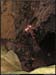 2avens20061210_22