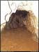 2avens20061210_36