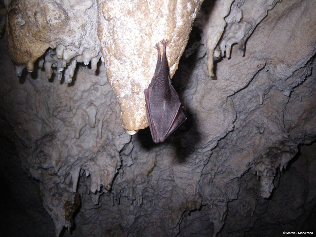 20100324_43