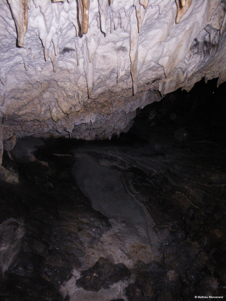 20100324_45