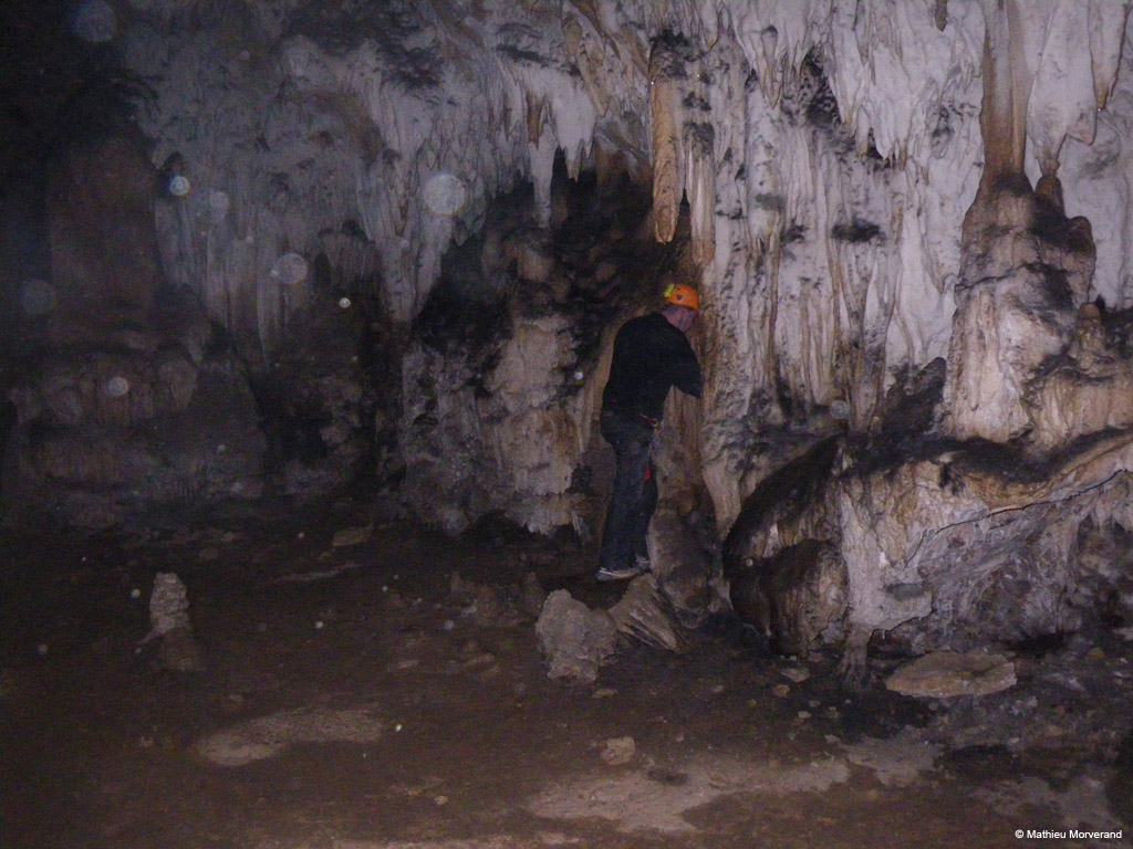 20100324_49