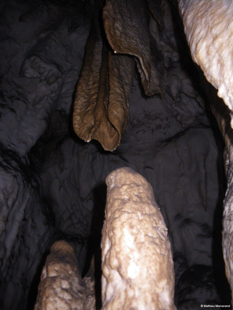 20100324_56
