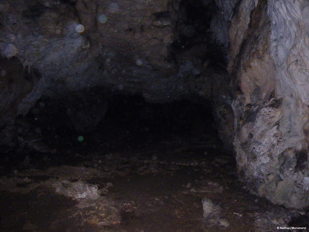 20100324_63