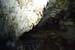 20150217_2avens31