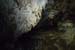 20150217_2avens32