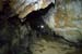 20150217_2avens54