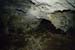 20150217_2avens61
