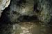 20150217_2avens62