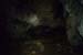 20150217_2avens67
