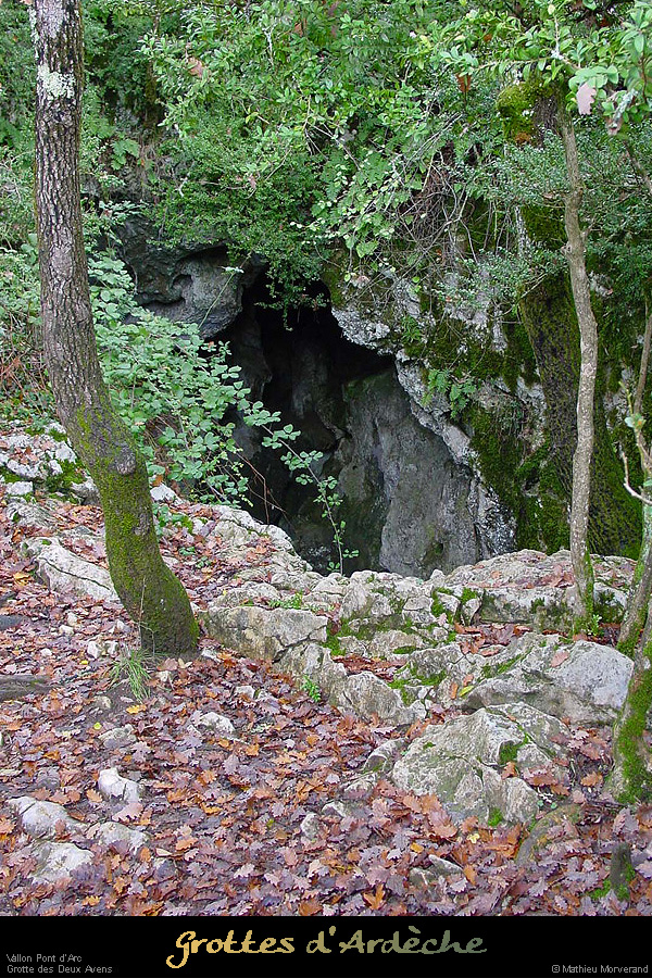 20001126_2avensentree2