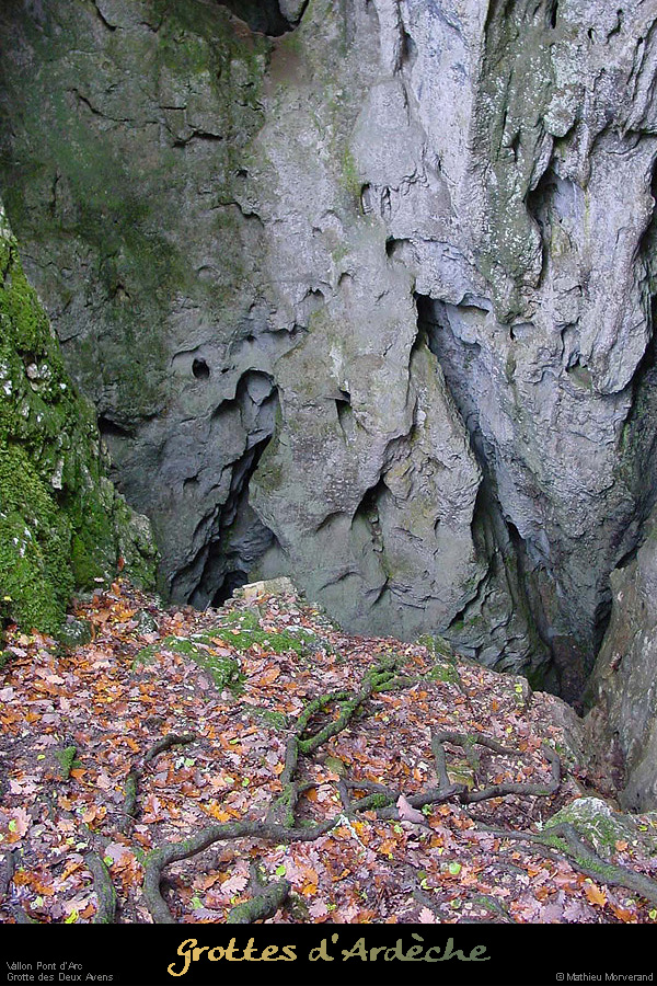 20001126_2avensentree4