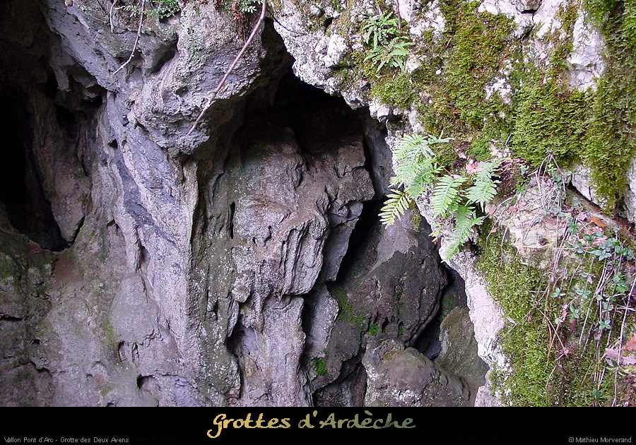 20001126_2avensentree5