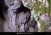20001126_2avensentree5