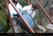 chazot_ext_benne05_er