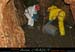 chazot_fond_008