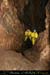 chazot_fond_022