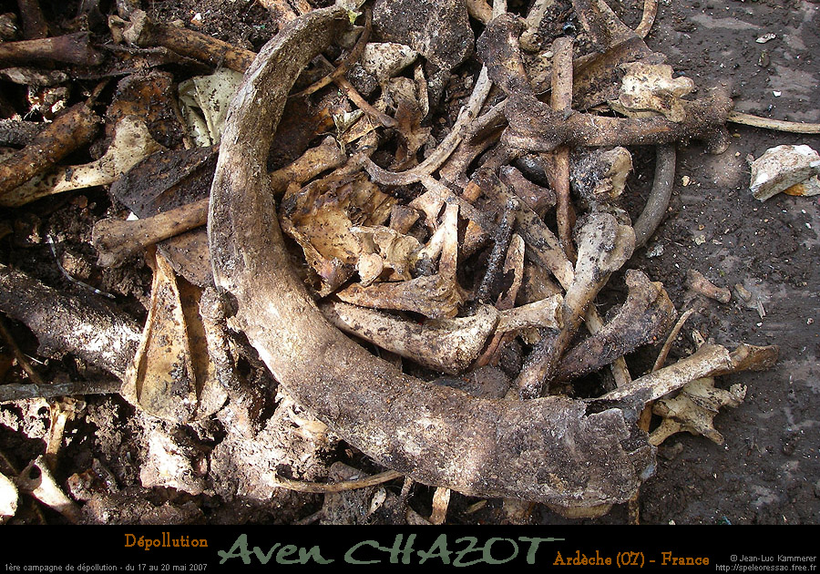 chazot_extos2_jl