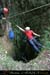 chazot_p31_remy2_cl