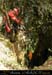 chazot_p31_sergemat2_fp