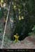 chazot_puitsasc_remy01