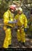 chazot0711_ext11fp