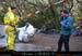 chazot0711_ext24jl