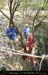 chazot0711_puits09fp
