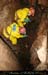 chazot07111_inj16mm