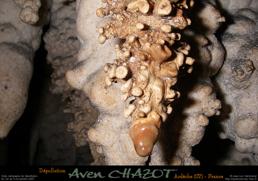 chazot07113_inz09jl