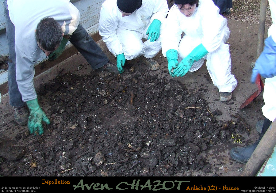 chazot0711_trib12mh