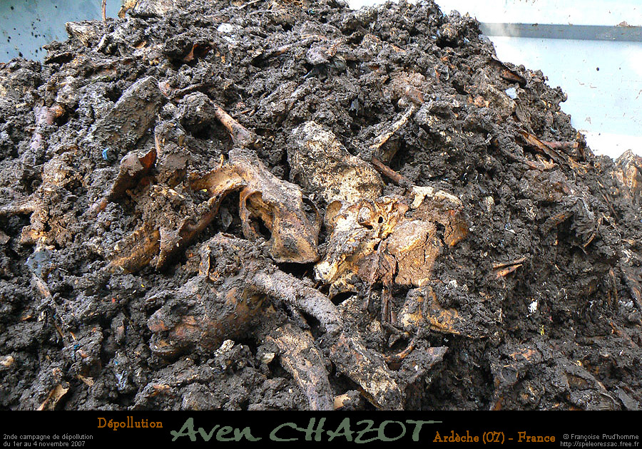 chazot0711_trid12fp