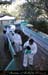 chazot0711_trib18ct