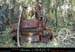 chazot0711_trid03an