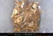 chazot0711_trid06an