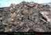 chazot0711_trid11fp