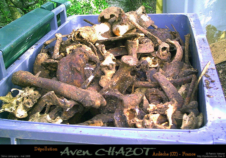 chazot0805_os08pk