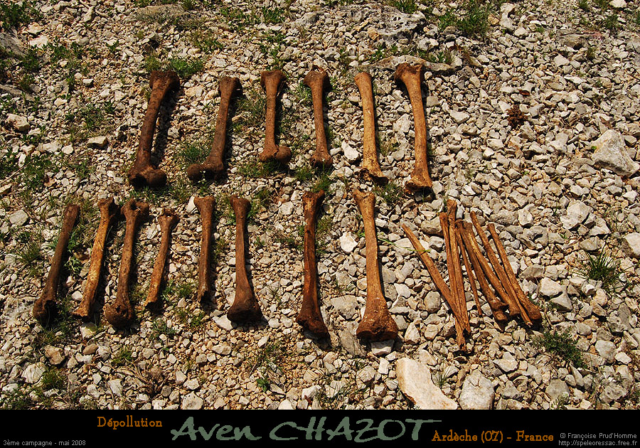 chazot0805_osh05fp