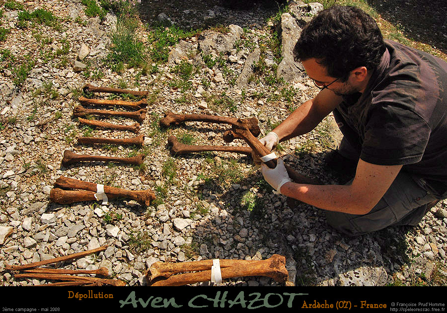 chazot0805_osh08fp