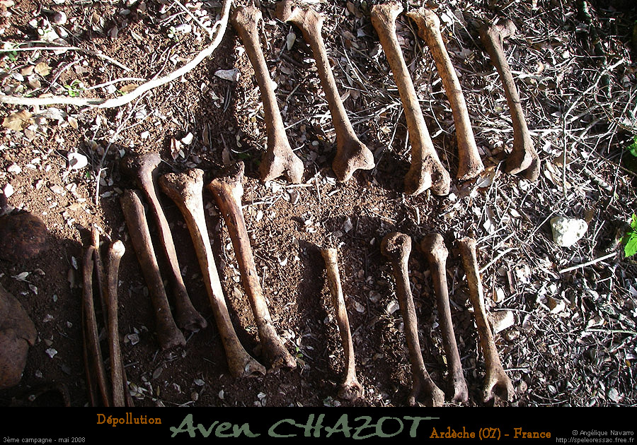 chazot0805_osh09an