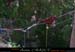 chazot0805_sys02jl