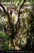 chazot0805_ptu04an