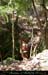 chazot0805_ptu14an